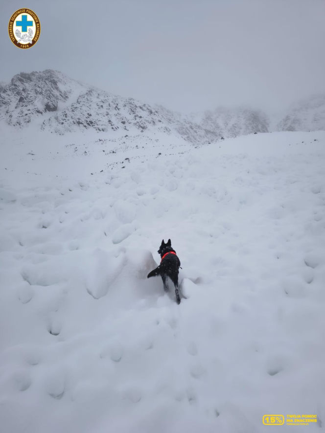 Śmierć turysty w Tatrach