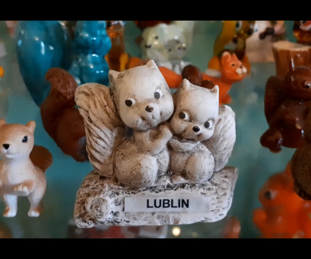 Jedyne takie muzeum znajduje się w Lublinie. Tam wiewiórki są mile widziane [WIDEO]