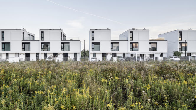 Osiedle Brzozowy Las w Wawrze