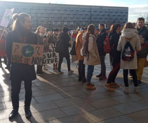Wielki protest w Krakowie. Strajkowali w obronie klimatu 
