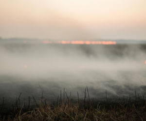 Tragedia w Pionkach. Jakie niebezpieczeństwo niosą wiosenne porządki?