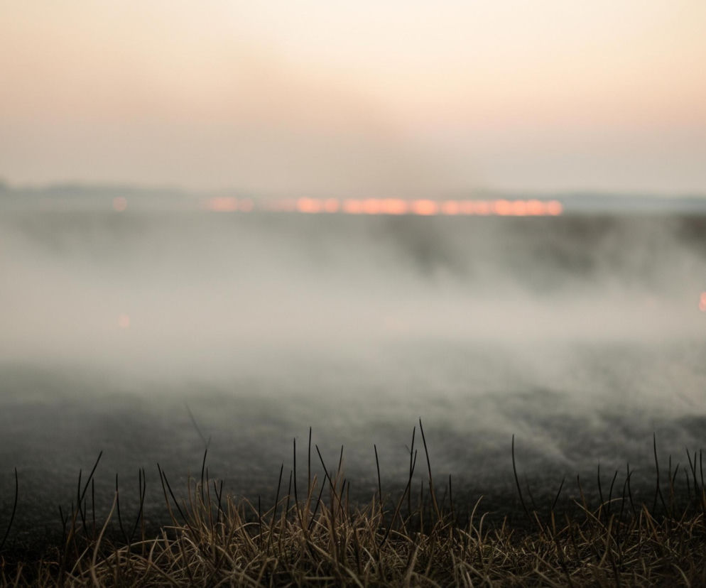 Płonące pole rozciąga się w poprzek kadru, pokryte warstwą gęstego, białego dymu unoszącego się z czarnej ziemi. Na pierwszym planie widoczne są pojedyncze, wyschnięte źdźbła traw w odcieniach brązu i czerni. W tle, na horyzoncie, rozświetlają się liczne, pomarańczowe punkty ognia, tworzące długą linię pod bladym, pomarańczowym niebem.