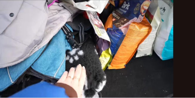 Ekspresowa wyprowadzka Wersow i Friza. Spakowali się w 24h i wyprowadzili z luksusowej willi