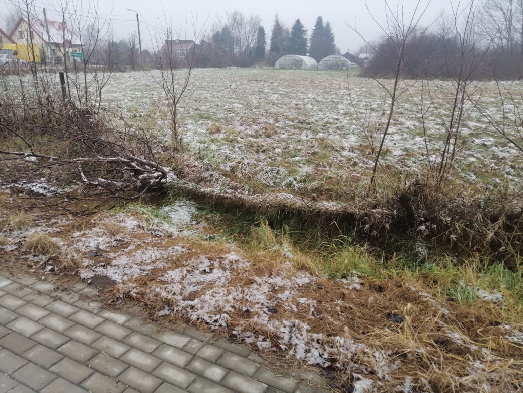 Znaleźli ją nieprzytomną i całą pociętą. Zrobił jej to własny syn? 