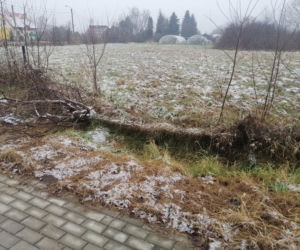 Znaleźli ją nieprzytomną i całą pociętą. Zrobił jej to własny syn? 