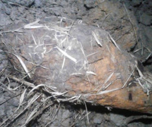 Niebezpieczne znalezisko we Frysztaku! EWAKUOWANO mieszkańców i zakmnięto drogę [ZDJĘCIA]