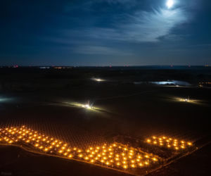 Przymrozki w winnicy - podgrzewanie winorośli