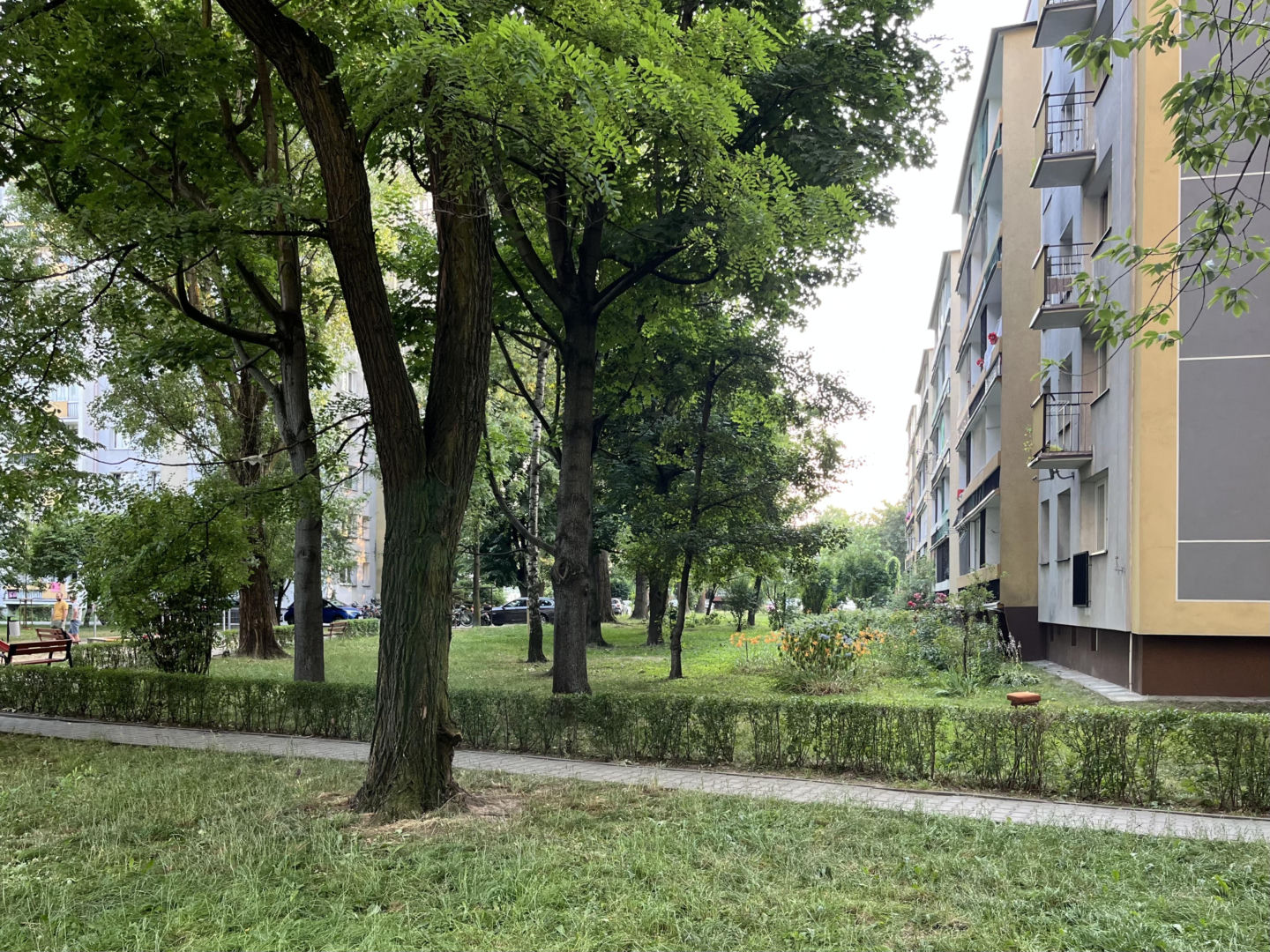 Osiedle Podwawelskie w Krakowie