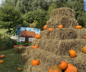Dyniowe szaleństwo w Lublinie! Tysiące dyń i atrakcje dla całych rodzin ?