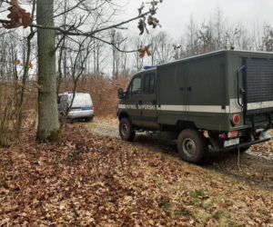 Niebezpiecznie znalezisko w lesie! Na miejsce wezwano specjalistyczne służby [ZDJĘCIA]