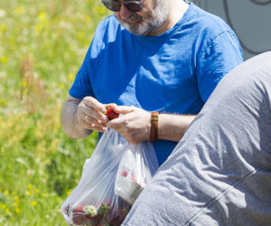 Karol Karski objada się malinami