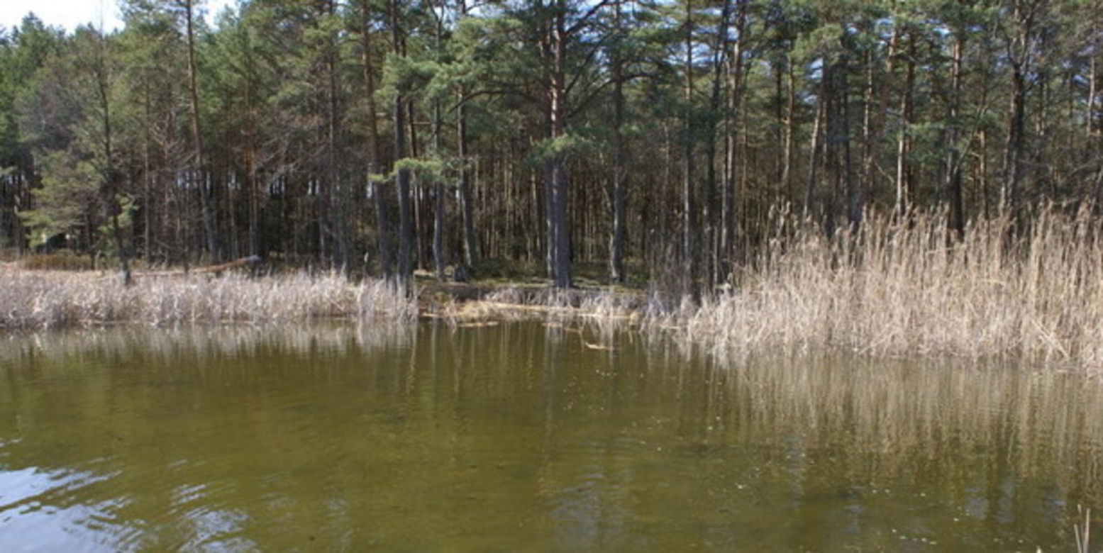 Jezioro
