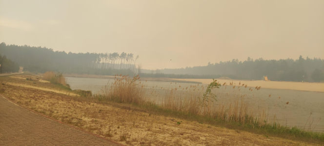 Pożar w Puszczy Solskiej