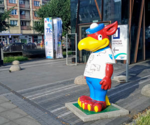 Gryfusy na ulicach Szczecina