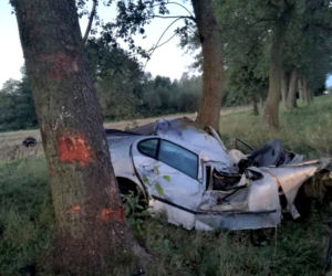 Boćki. Zderzenie auta z łosiem. Tragiczny wypadek z 2018 roku
