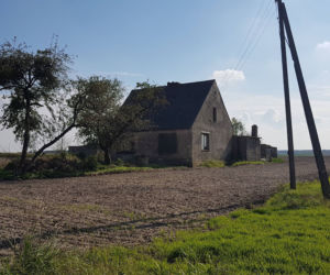 Depcze duchom po piętach