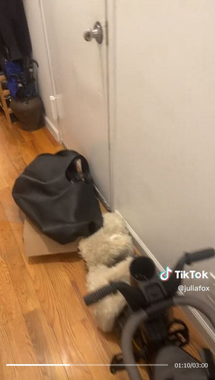 Dramat seksownej aktorki! Inwazja dzikich myszy w domu Julii Fox!