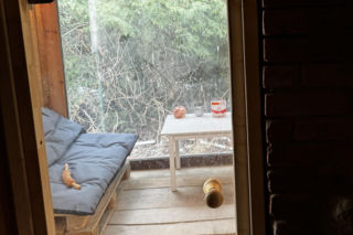 Mors z Lublina nie żegna zimy. Pod domem zbudował lodowe „sanktuarium”