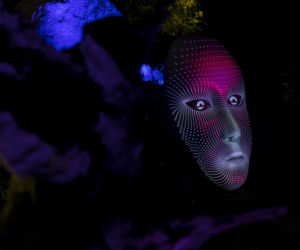 Bajkowe iluminacje w Ogrodzie Botanicznym we Wrocławiu