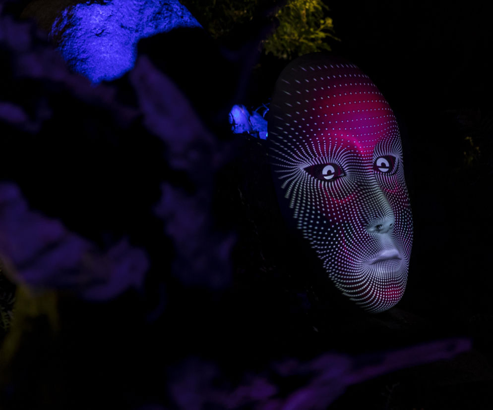 Bajkowe iluminacje w Ogrodzie Botanicznym we Wrocławiu