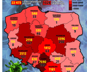Koronawirus: Zobacz wykresy i prognozy – stan na 27.05 godz. 17.30