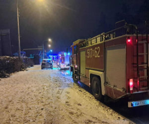 Pożar domu w Mińsku Mazowieckim, strażacy uratowali kota