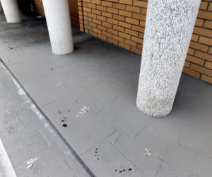 Puszcza Augustowska. Prywatny dom strażnika leśnego został oblany farbą przez nieznanych sprawców