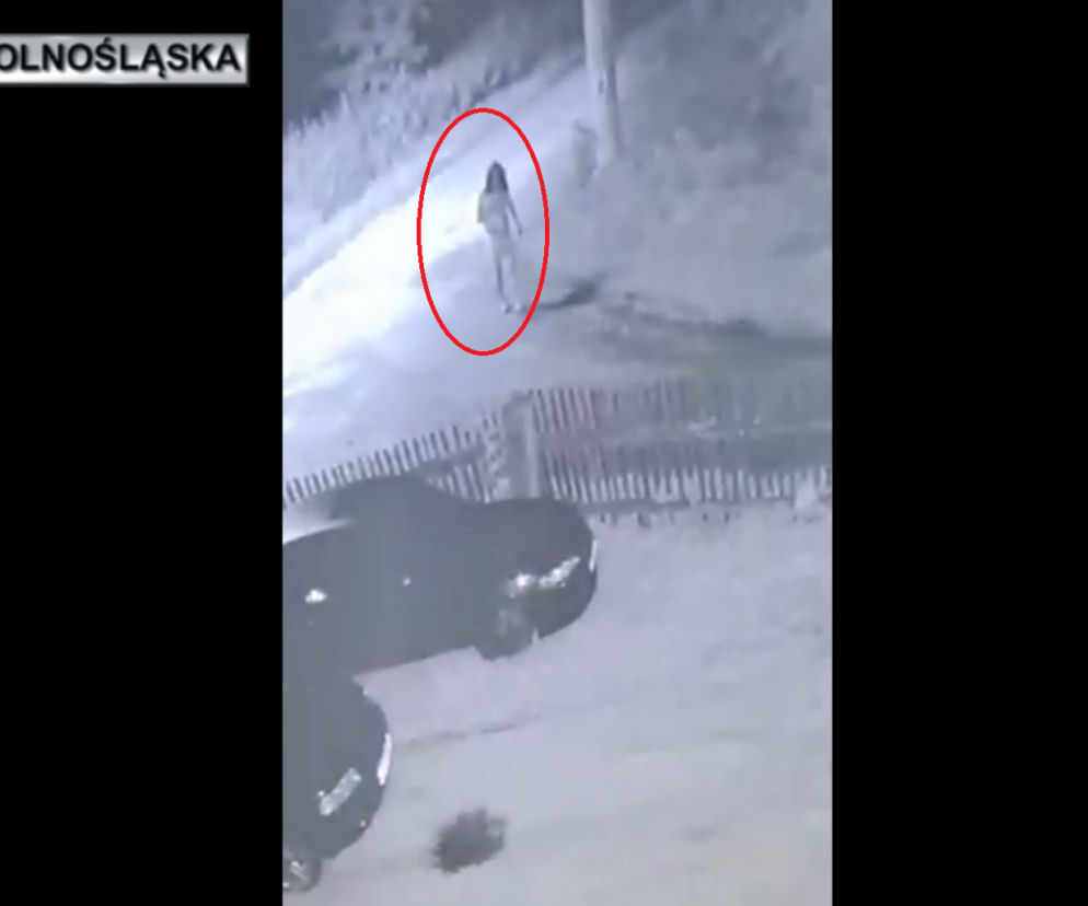 Dolnośląskie. Złodziej samochodu chciał pozostać anonimowy – ubrał czarną perukę, sukienkę i szpilki [WIDEO]