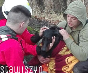 Pod psem załamał się lód! DRAMATYCZNA walka o życie pod Kaliszem [ZDJĘCIA] 