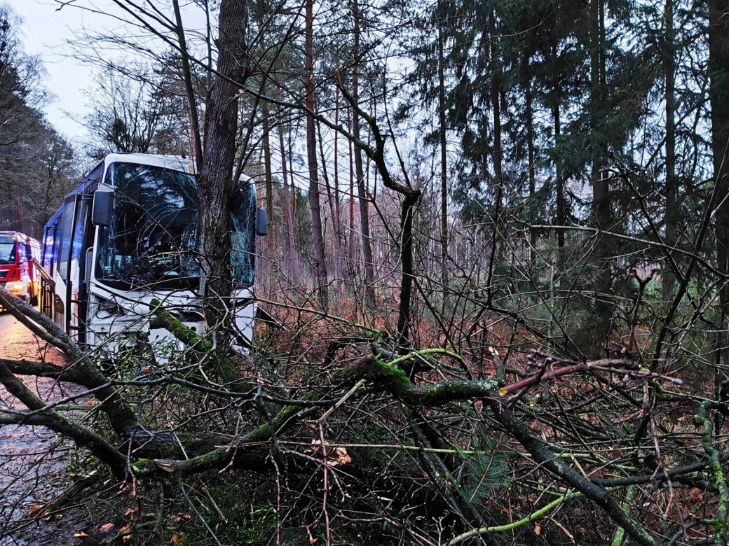 Szkolny autobus uderzył w drzewo