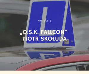 Najlepsze szkoły nauki jazdy w Poznaniu [TOP 20]