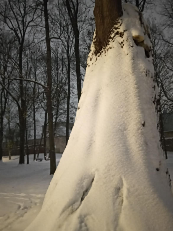 Zimowy armagedon w Świętokrzyskiem! Zobacz zdjęcia