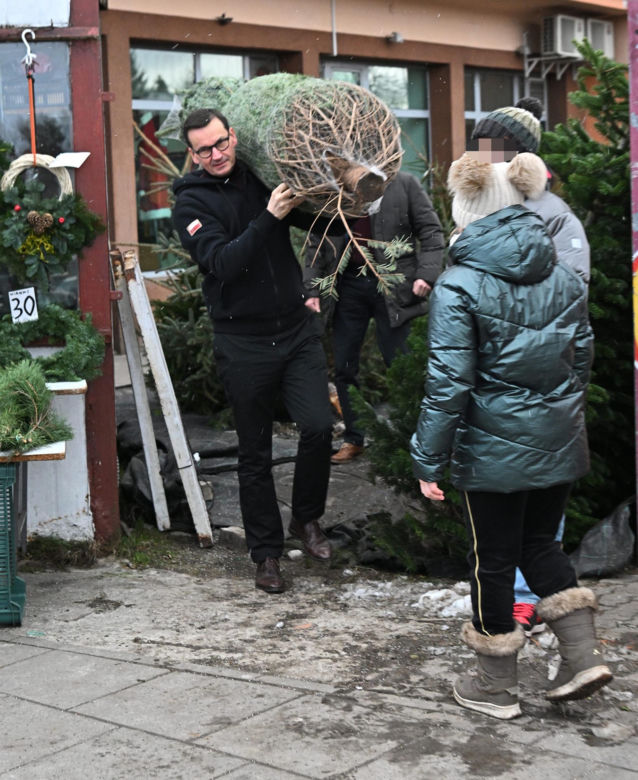Morawiecki kupuje choinkę na święta