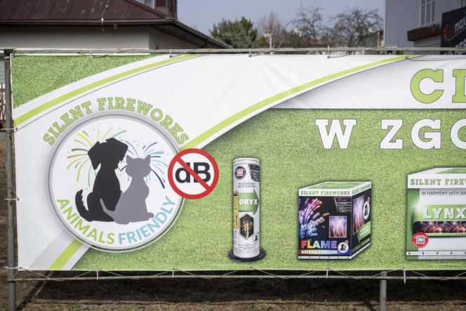 Koniec fajerwerków w Polsce? „To likwidacja branży i cios w państwo”