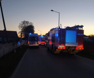 Tajemniczy pożar w Wyszkowie. Ciała dwóch kobiet w zgliszczach, prokuratura nie wyklucza zabójstwa