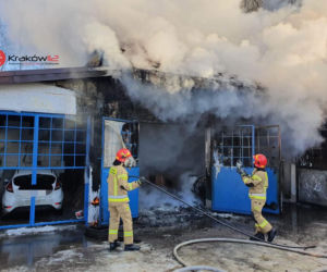 Pożar na ul. Malborskiej w Krakowie