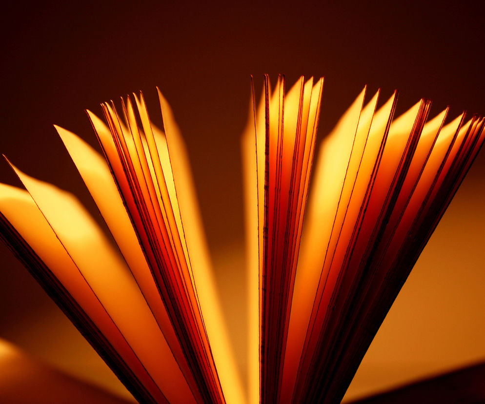 Stanisław Ignacy Witkiewicz - Szewcy: streszczenie, opracowanie, bohaterowie, PODCAST