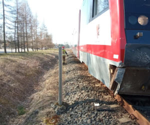 Wypadek na przejeździe kolejowym w Małym Rudniku pod Grudziądzem [ZDJĘCIA]