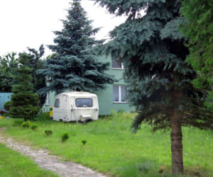 Grajewo. ZATŁUKLI Irka bejsbolem. KRWAWA nocna wizyta w domu na Podlasiu