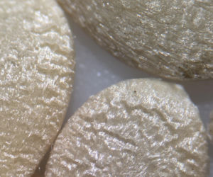 Nasiona z Maciejowa po locie w kosmos