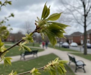 Pogoda na weekend w Białymstoku 3-5 kwietnia. Czeka nas chłodniejsza sobota i cieplejsza niedziela