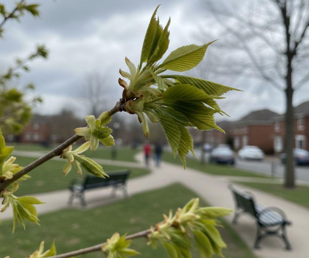Pogoda na weekend w Białymstoku 3-5 kwietnia. Czeka nas chłodniejsza sobota i cieplejsza niedziela