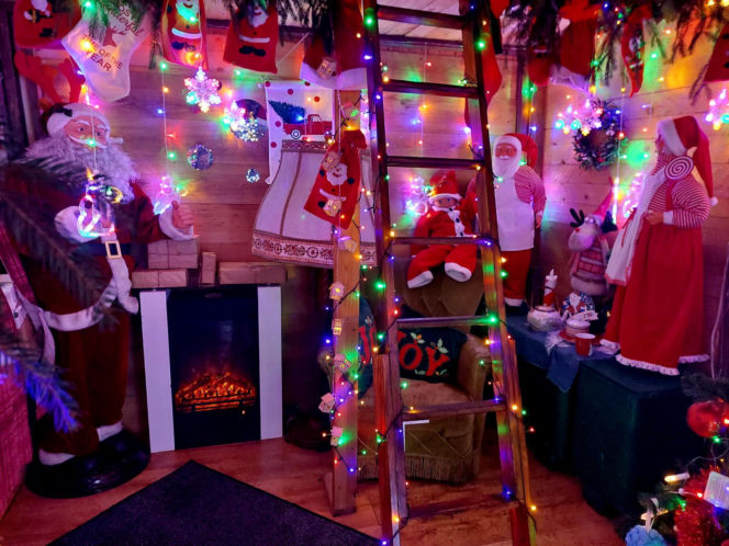 Dom bydgoskich Griswoldów znów rozbłysł. "Powieśiliśmy 300 tysięcy lampek. Przygotowywaliśmy jej od lipca!"