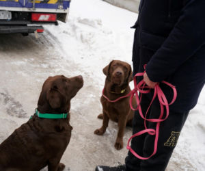Schronisko dla psów w Sobolewie zamknięte. Jeszcze w sobotę, 24 stycznia, protestowali pod nim mieszkańcy [ZDJĘCIA].