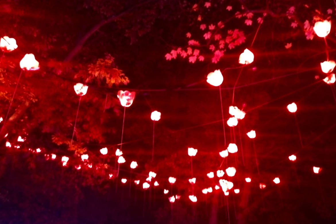 Garden of Lights w Szczecinie