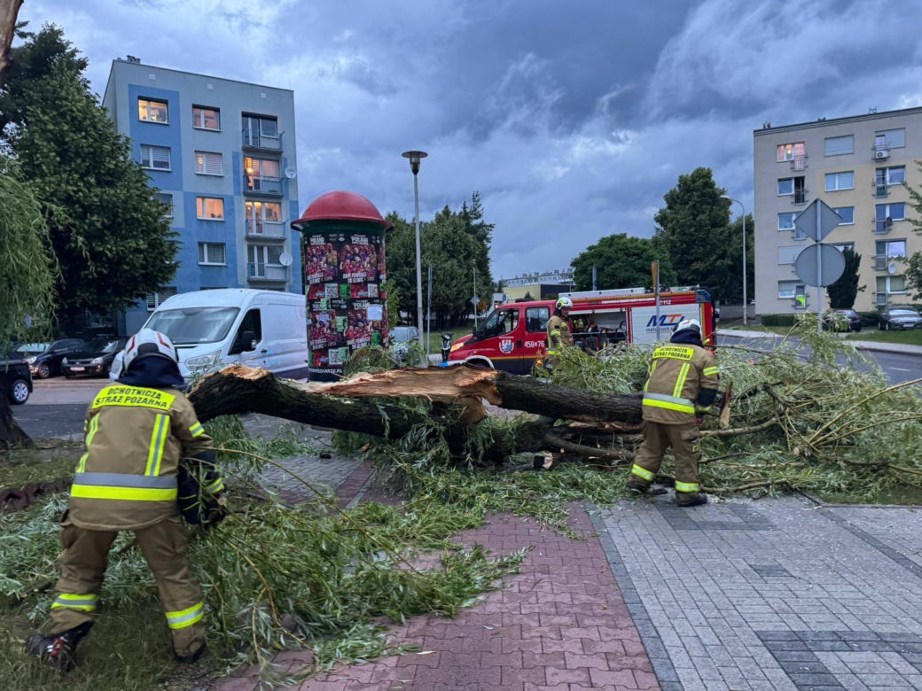 Powalone drzewa, zalania, wstrzymany ruch tramwajów: dramatyczny bilans orkanu nad Śląskiem