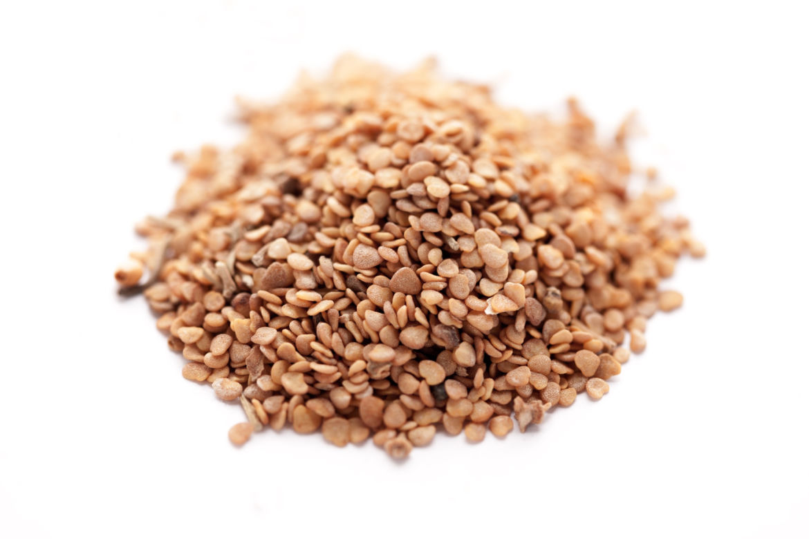Ashwagandha (indyjski żeń szeń)