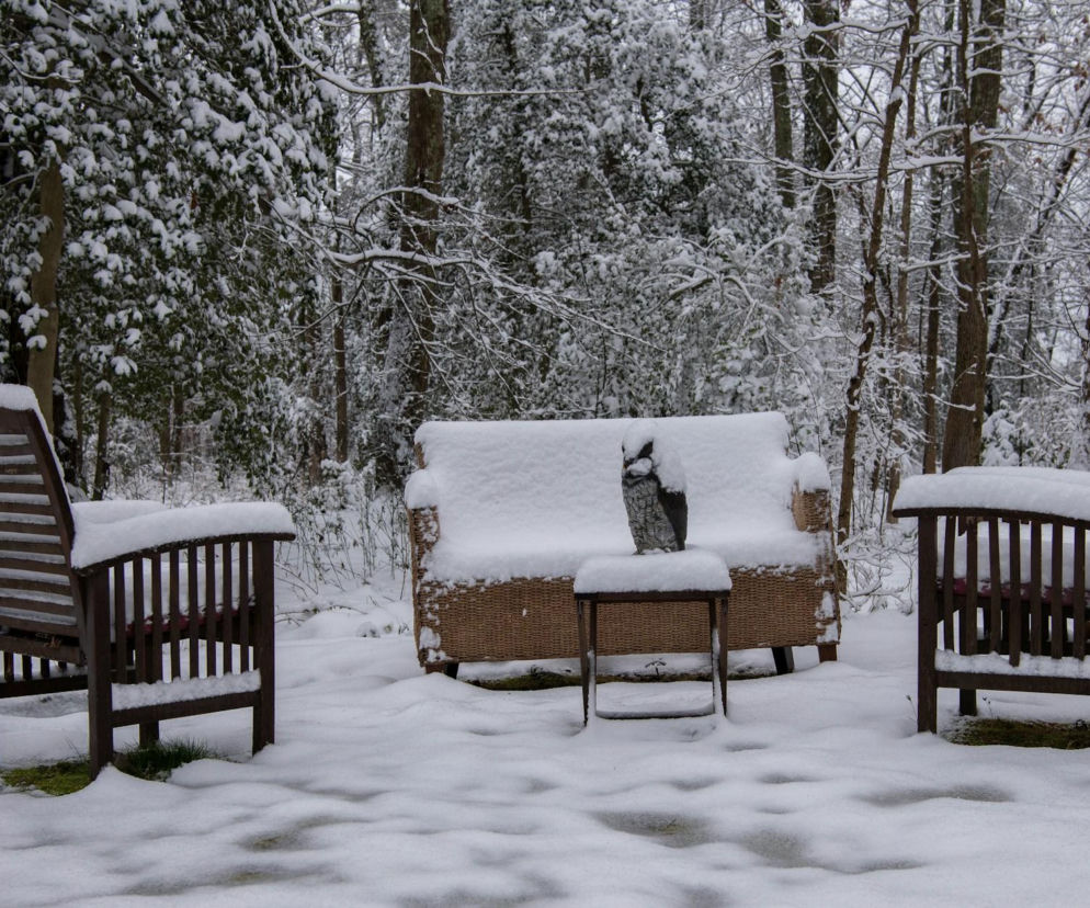 Opady śniegu i mróz