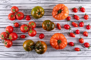 Te pomidory będą królować na naszym stole w 2026 roku. Wcale nie chodzi o malinowe ani koktajlowe