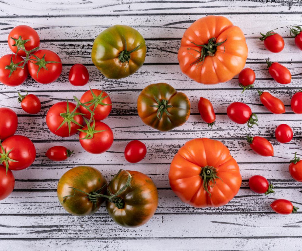 Te pomidory będą królować na naszym stole w 2026 roku. Wcale nie chodzi o malinowe ani koktajlowe